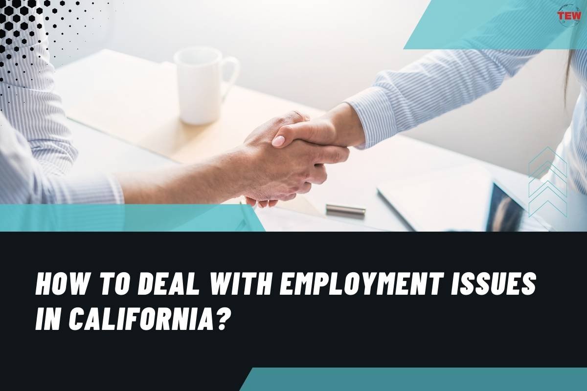 How to Deal with Employment Issues in California?