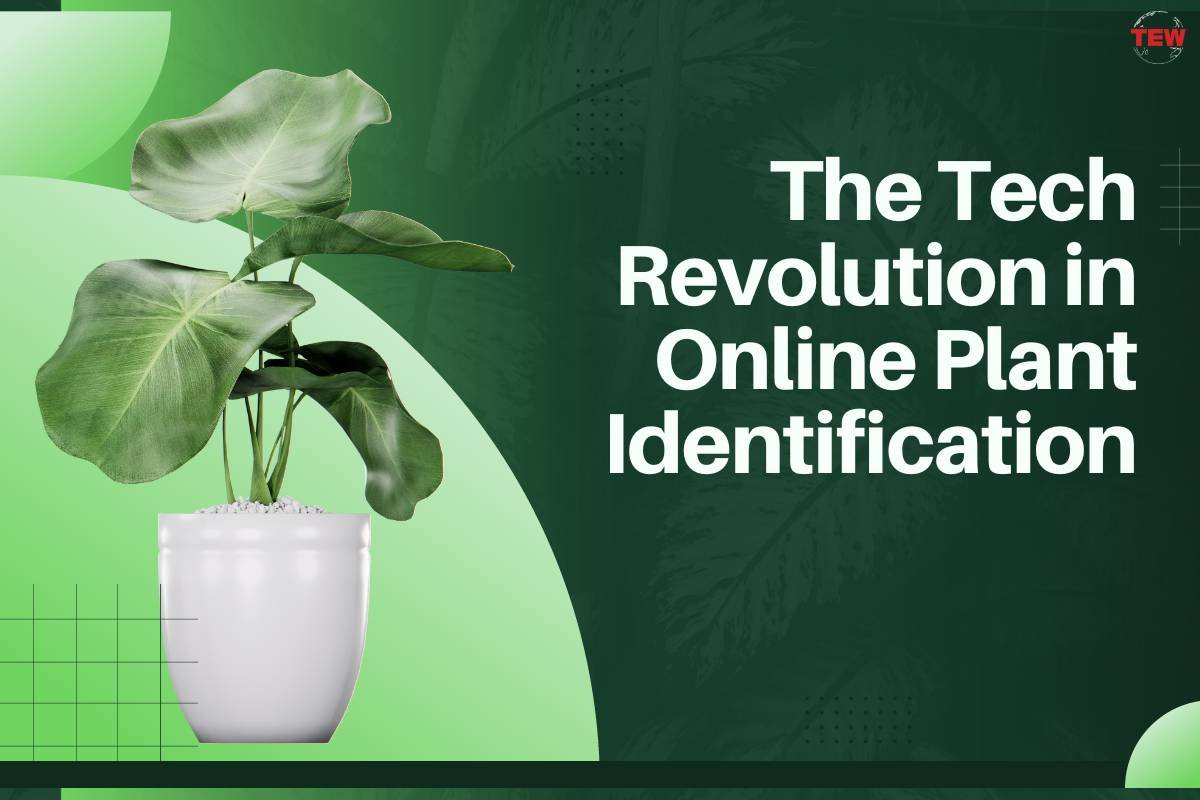 The Tech Revolution in Online Plant Identification