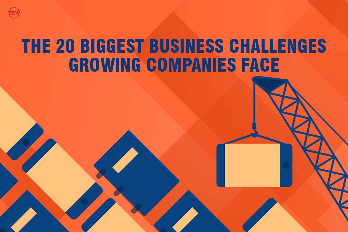 The 20 Biggest Business Challenges Growing Companies Face