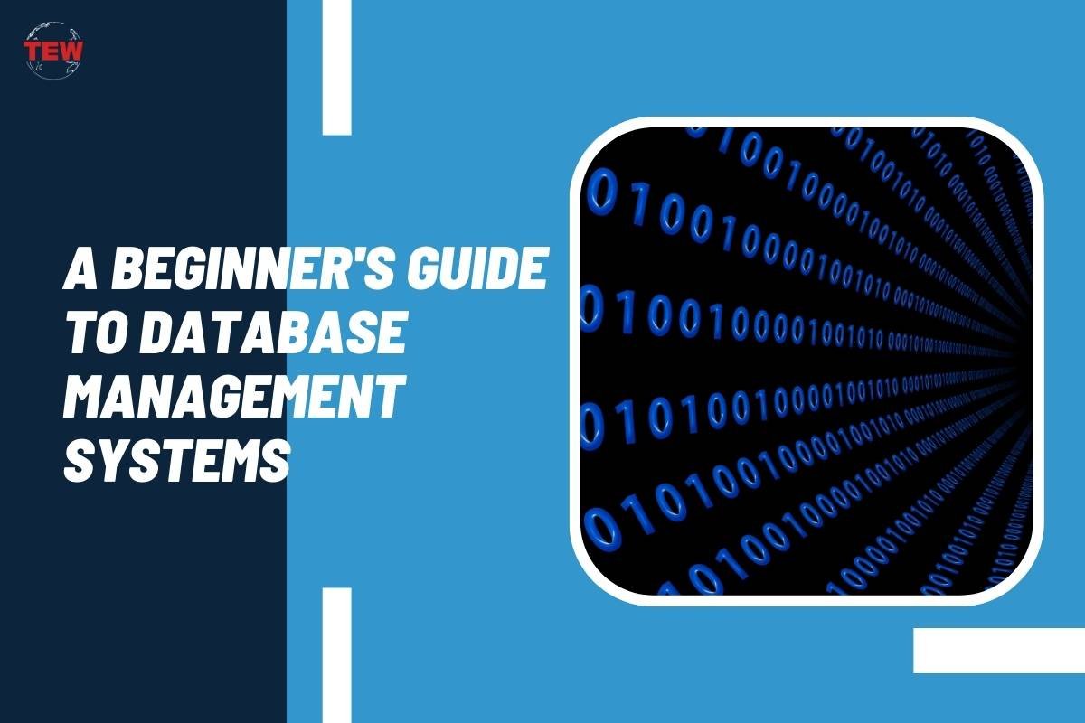 A Beginner’s Guide to Database Management Systems 