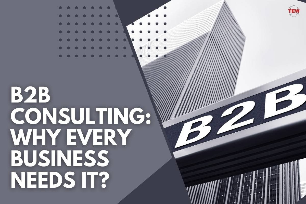 B2B Consulting: Why Every Business Needs It?