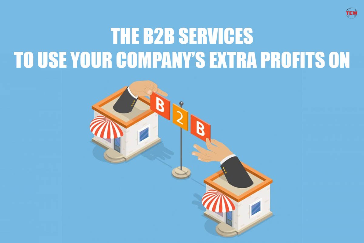 The B2B Services to Use Your Company’s Extra Profits On