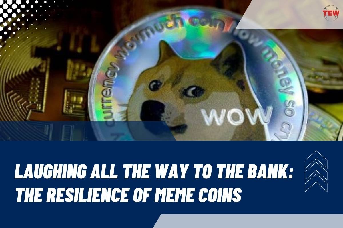 Laughing All the Way to the Bank: The Resilience of Meme Coins