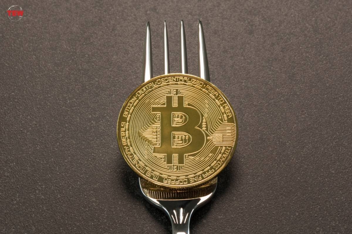 A Deep Dive into Blockchain Divergence: Bitcoin Forks | The Enterprise World