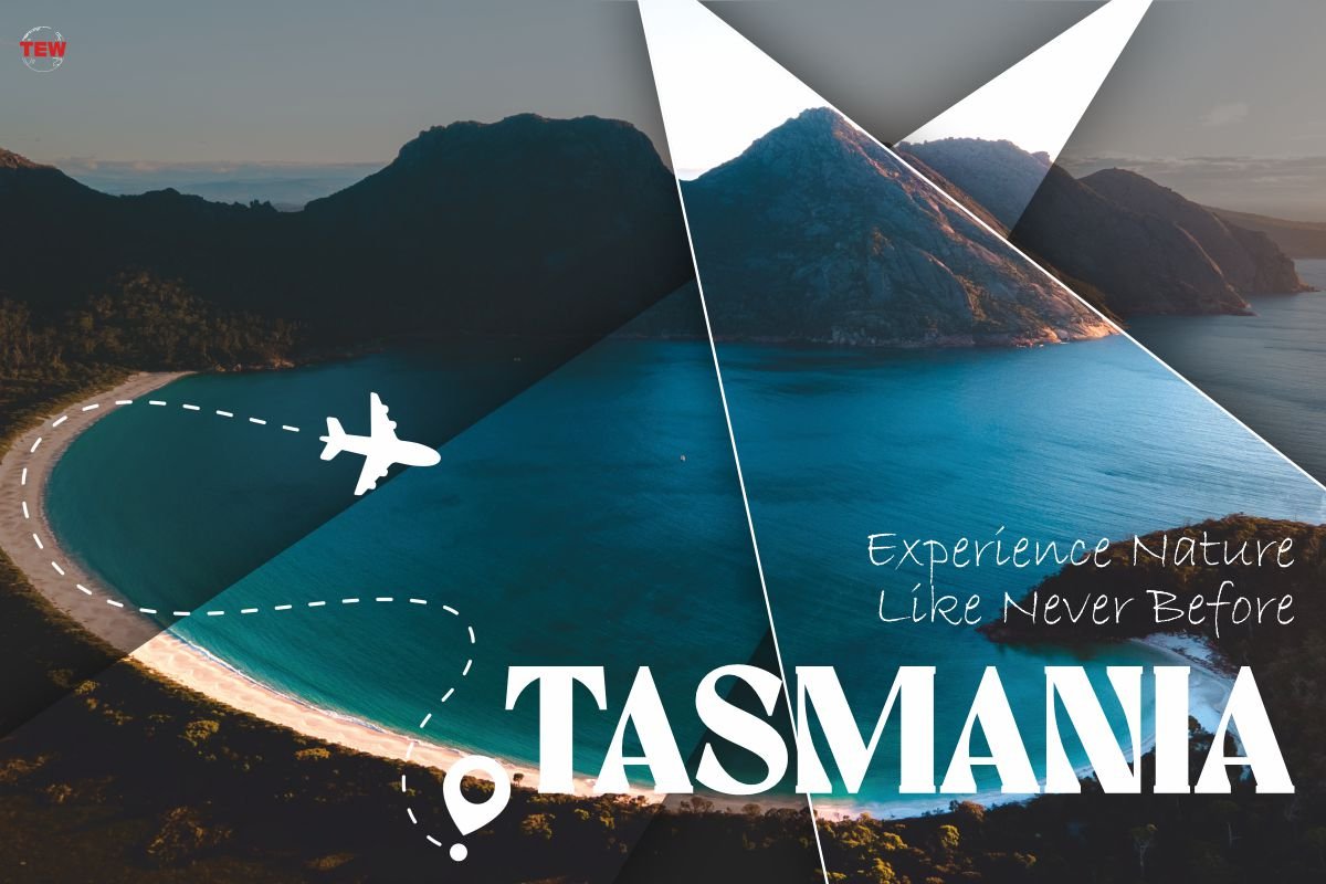 Tasmania: Experience Nature Like Never Before